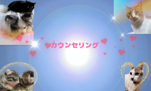 カウンセリング