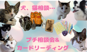 プチ相談会＆30分カードリーディング