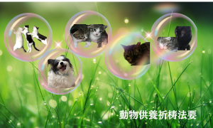 動物供養祈祷法要